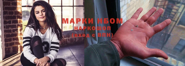 стаф Каменногорск