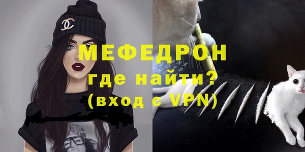 стаф Каменногорск