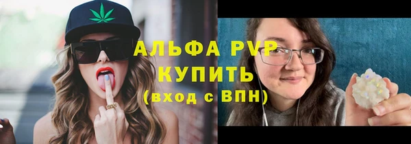 стаф Каменногорск