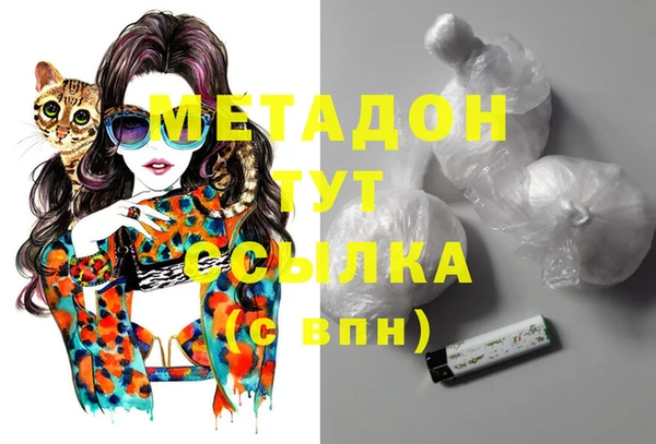 стаф Каменногорск