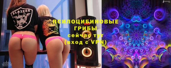 стаф Каменногорск