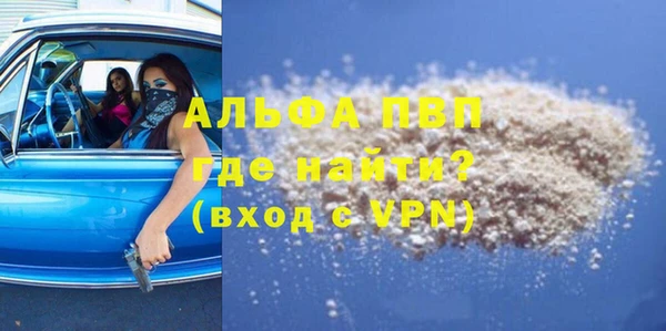 стаф Каменногорск