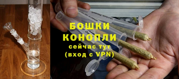 стаф Каменногорск
