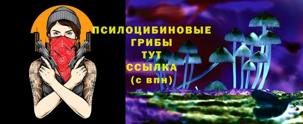 меф Каменск-Шахтинский