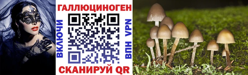 Купить где  Борзя  Псилоцибиновые грибы ЛСД 